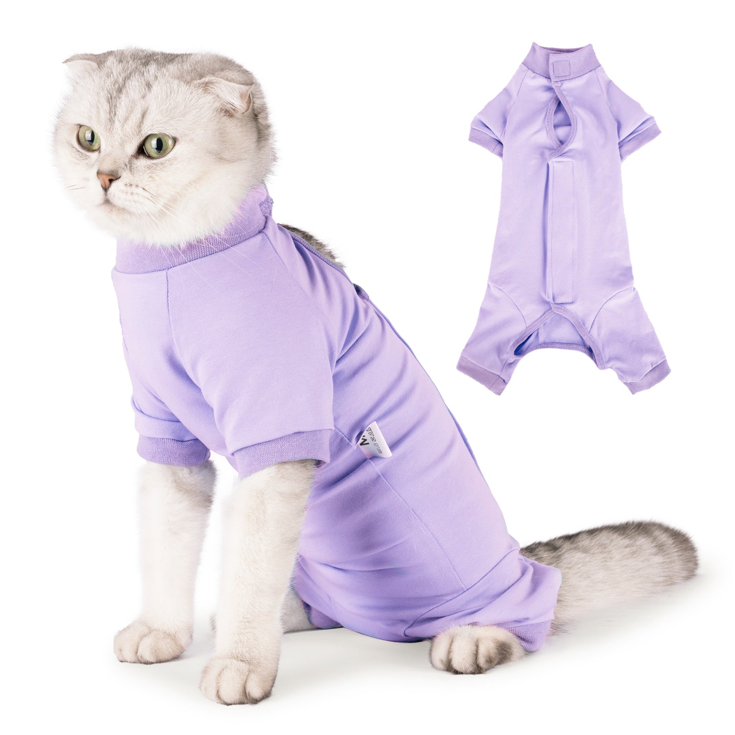 Cat Recovery Suit