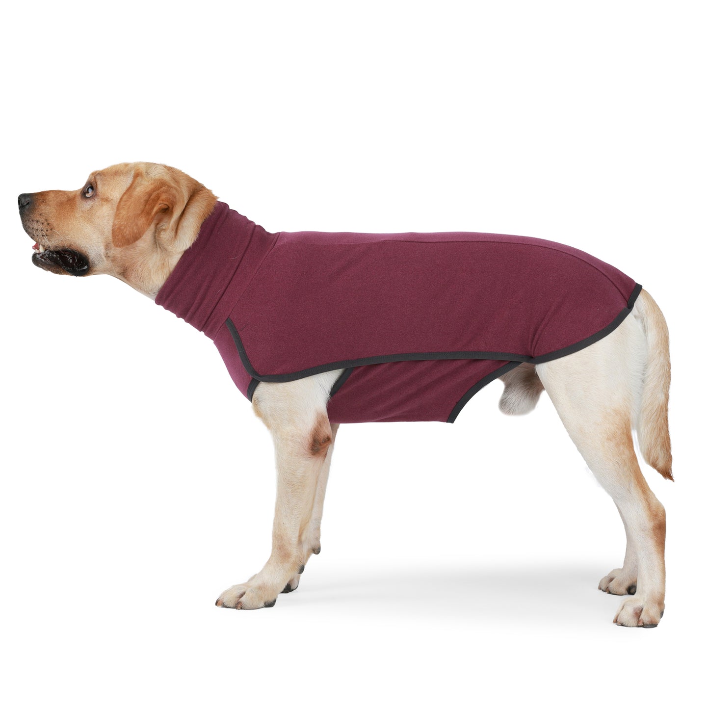 Dog Sweater Pullover Dog Cold Weather Vest Dog Sweatshirt Dog Jacket