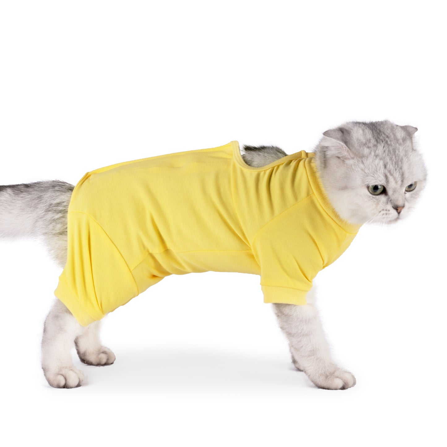 Cat Recovery Suit After Surgery for Female Male Pet Surgical Pajamas Long Sleeve Prevent Shedding Recovery Snugly Suit&E Collar Alternative Onsies for Cats