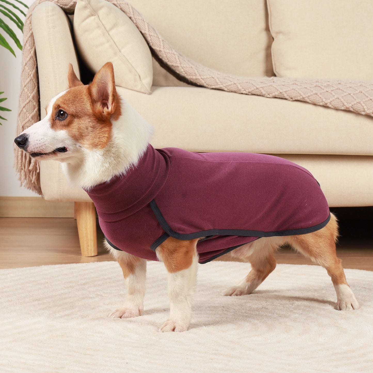 Dog Sweater Pullover Dog Cold Weather Vest Dog Sweatshirt Dog Jacket