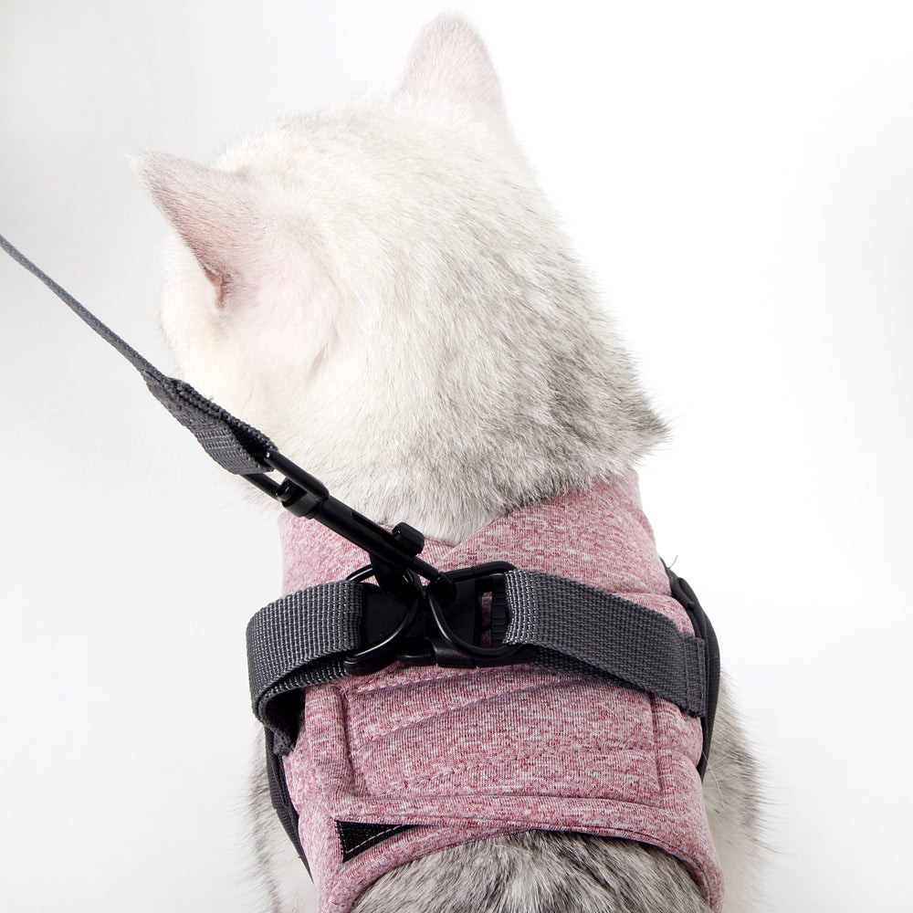 Cat Harness Leash Straps Soft and Comfortable Cat Walking Jacket with Running Cushioning and Escape Proof for Puppies with Cationic Fabric