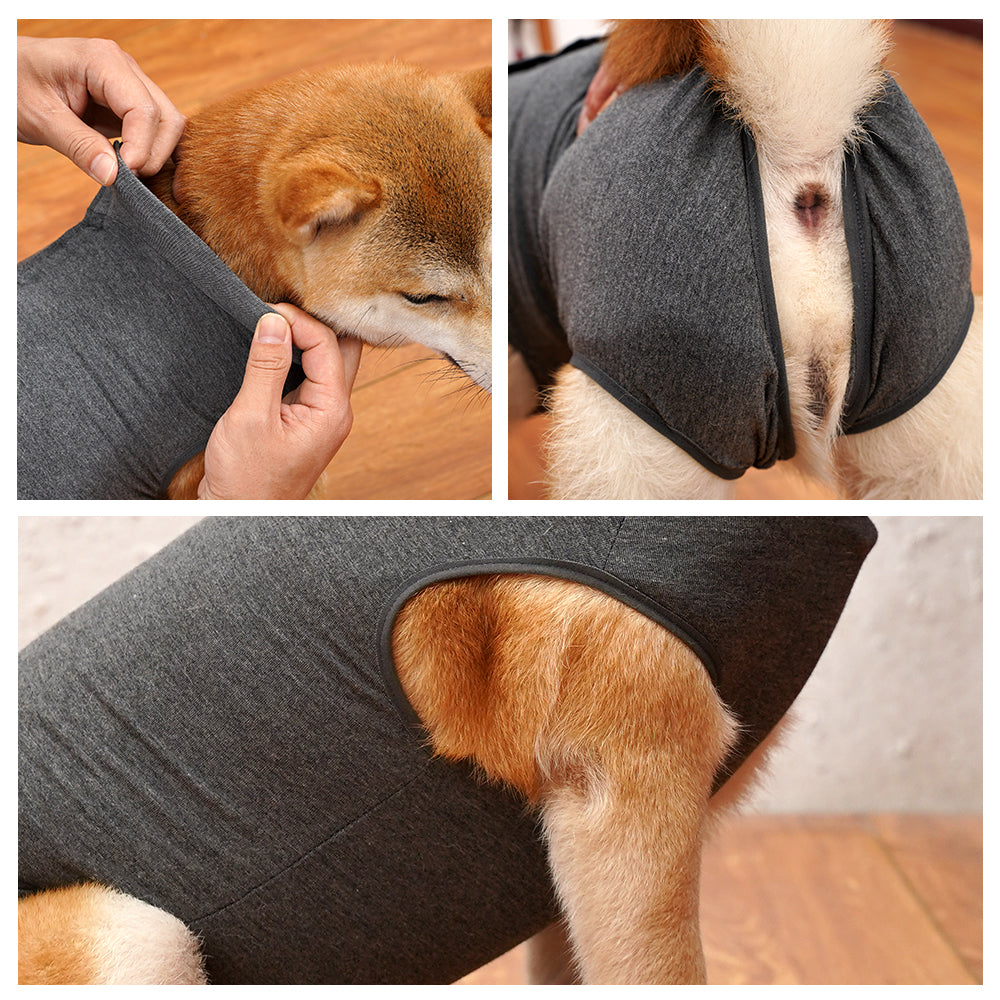 Dog Recovery Gown Abdominal Wound Surgical Gown Alternative E-Collar & Cone