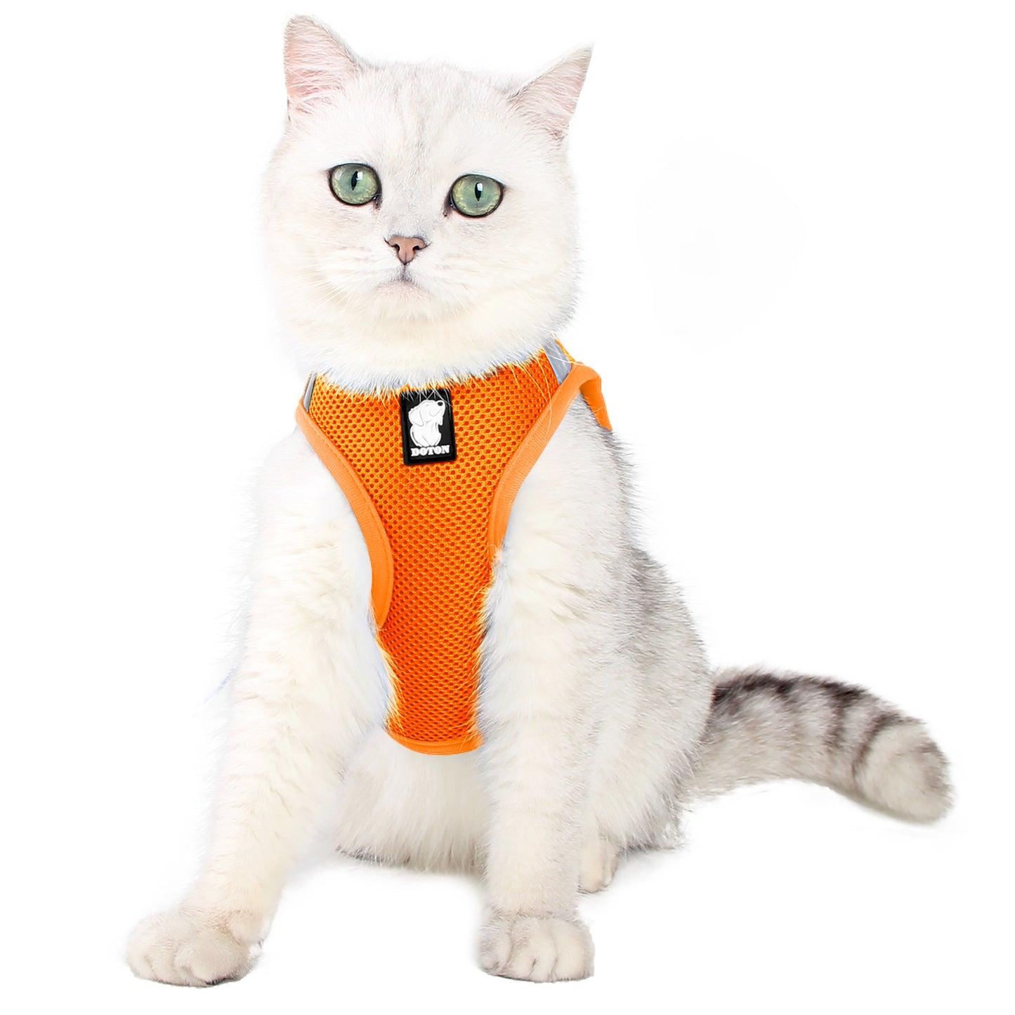 Cat Harness Leash Straps Soft and Comfortable Cat Walking Jacket with Running Cushioning and Escape Proof for Puppies with Cationic Fabric